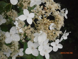 ��������������������